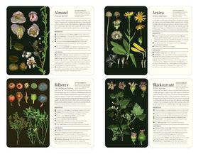 50 Plants that Heal: Discover Medicinal Plants Card Deck