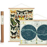 Vintage Poster Hanging Kit