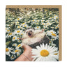 Hedgehog Daisies Card