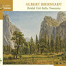 Bridal Veil Falls Yosemite Puzzle 1000 Pieces