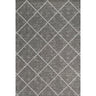 Delano Greige Indoor/Outdoor Rug 2x4
