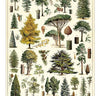 Arboretum Poster