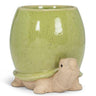 Turtle Planter
