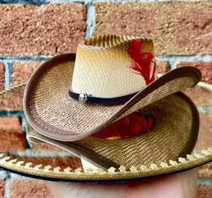 Brown Pet Cowboy Hat