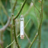 Glass Vial with Cork Stopper