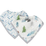 Adventure Begins - Set of 2 Bibs