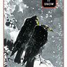 Let It Snow Christmas Card