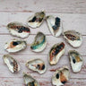 Light as a Feather Oyster Trinket Dish