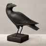 Crow Decor