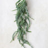 Faux Trailing Plant Decor