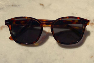 New Dean Sunglasses in Tortoise Shell
