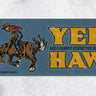 Yee and I Cannot Stress This Enough Haw Bumper Sticker