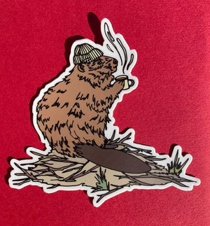 Beaver in Toque sticker