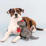 Rocker Rex Dog Toy