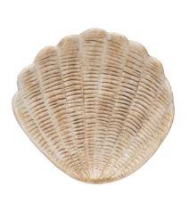 Cream Sea Shell Decor