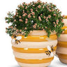 Beehive Medium Planter