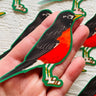 Robin Wearing Socks and Sandals Sticker