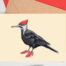 Shoes Humingbird Greeting Card