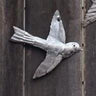 Metal Plaques Birds
