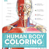 Human Body Coloring Book