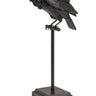 Nevermore Crow Decor
