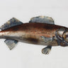 Lake Fish Metal Wall Decor