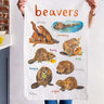 Beavers Tea Towel