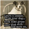 Learn A Lesson from Your Dog Magnet