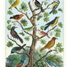 Birds in a Tree Poster