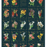 Language of Flowers Poster