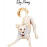 Dog Poems: An Anthology