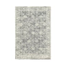 Avalon Cloudy Gray 4x6 Rug