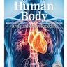 Human Body A Visual Encyclopedia