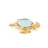 Turtle Magnifying Glass