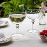 Etched Star Coupe Cocktail Glasses
