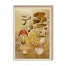 Vintage Fungi Card