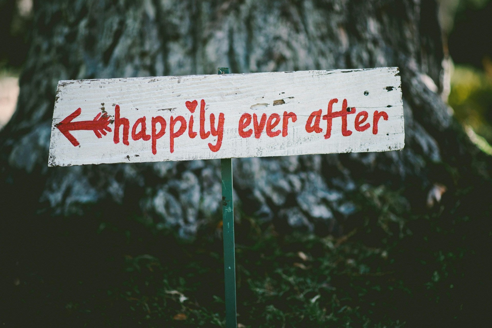 happily ever after wedding sign. wedding gifts