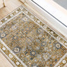 Amanti Walnut 5 x 7.7' Rug