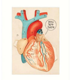 Anatomical Heart - Card