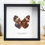 The Red Cracker Butterfly Wall Decor