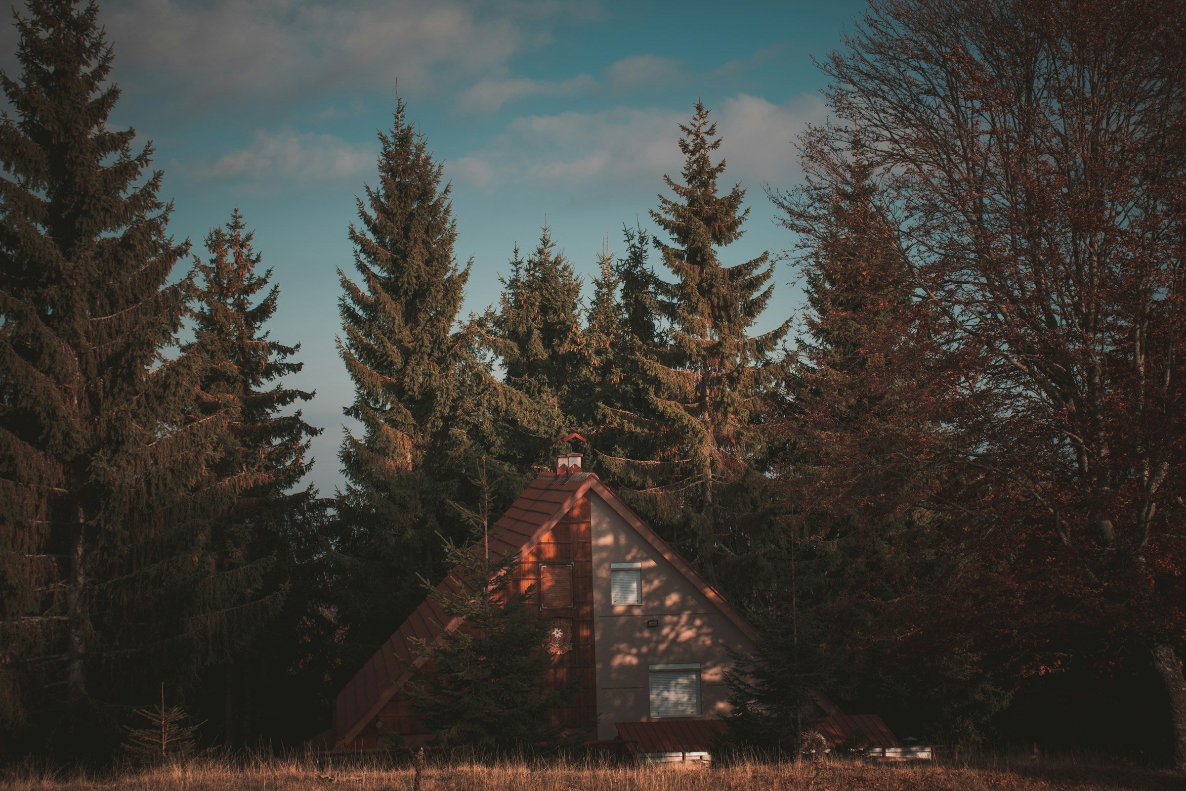 Cabin house in the Canadian Rockies. Housewarming gifts and new home gifts. Cabin Decor perfect for a cottage or new house