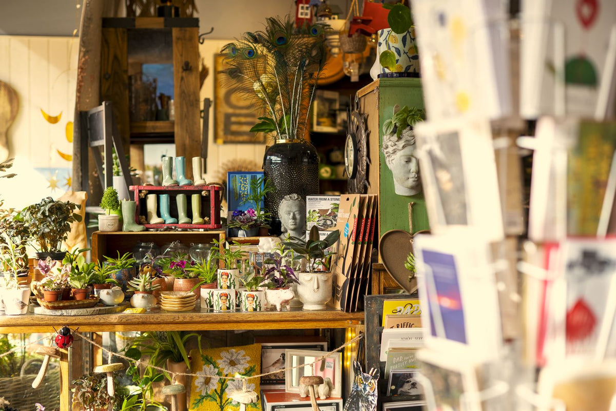 Shop All | Steeling Home