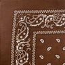 Paisley Patterned Bandanas