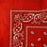 Paisley Patterned Bandanas