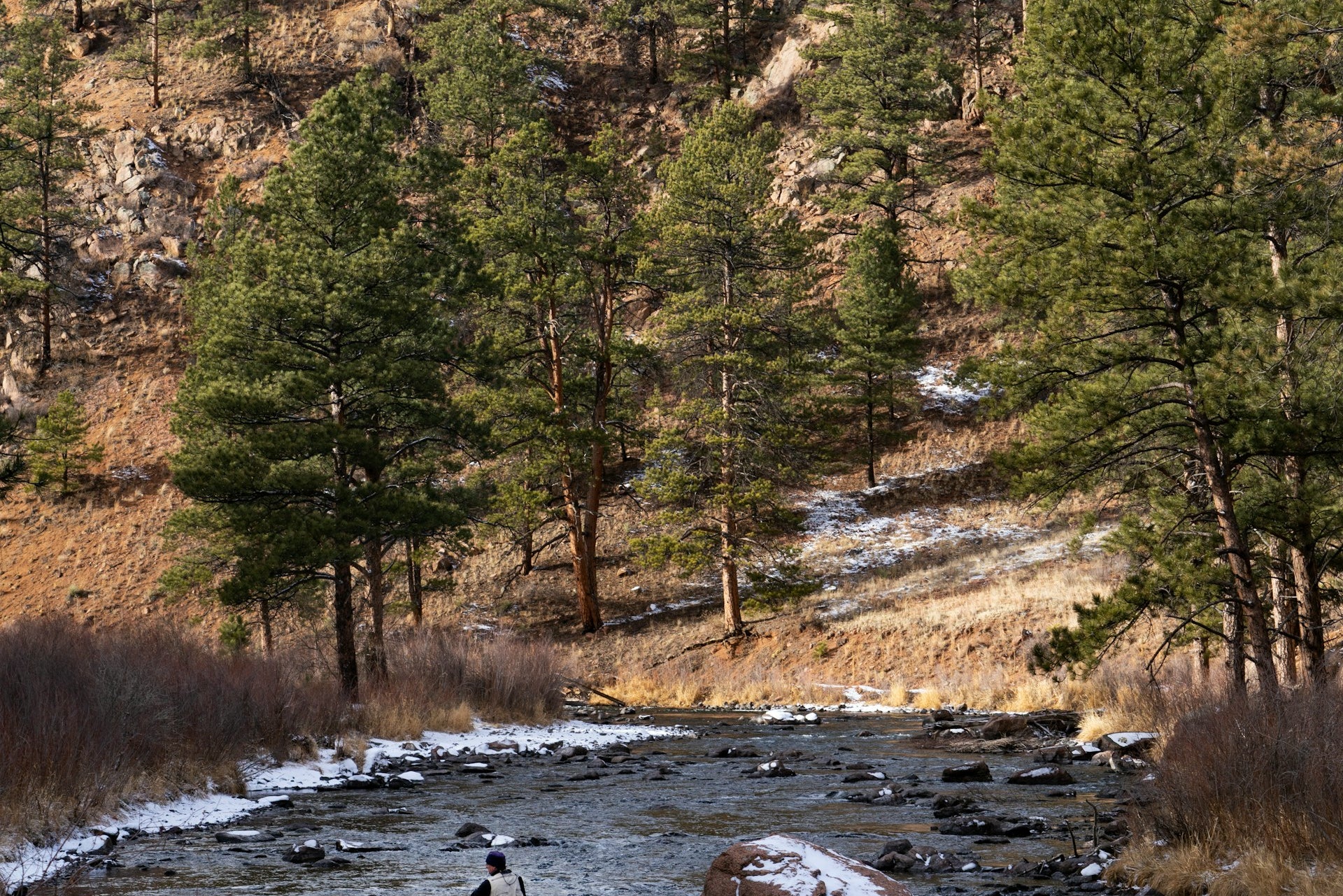 Person fishing in a river surrounded by trees and mountains. Dad themed gifts in Calgary