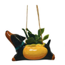 Hanging Planters Hot Dogs