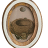 Mango Wood Picture Frame