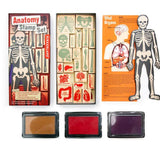 Anatomy Stamp Set