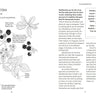 Foraging With Kids - Book