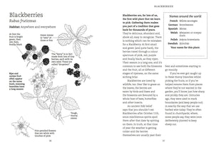 Foraging With Kids - Book